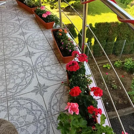 Affittacamere Casa Vio *