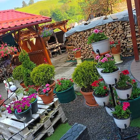 Affittacamere Casa Vio *